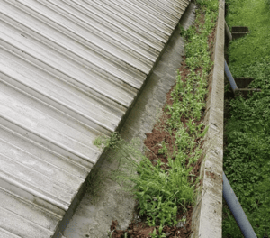 Happy customers in Eastbury who trust The Roof Moss Cleaners for gutter cleaning services