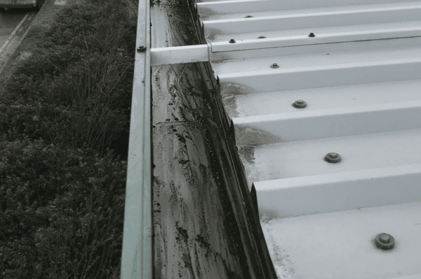 Commercial gutter cleaning specialists in Eastbury